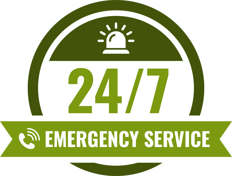 24/7 emergency services icon