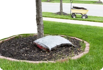 Tree tips section image with helpful advice